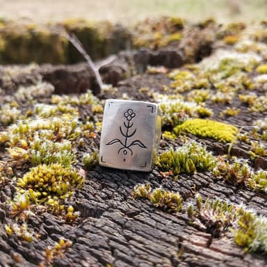 Anillo Sello Curandera view 2