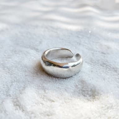 Anillo Neptuno view 2